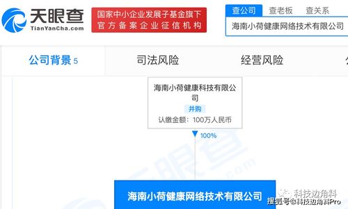字節跳動拓展健康版圖 海南小荷健康網絡公司成立，新增食品與互聯網銷售業務